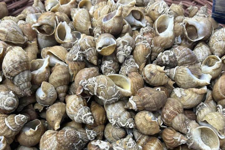 Vente de crustacés Pavilly