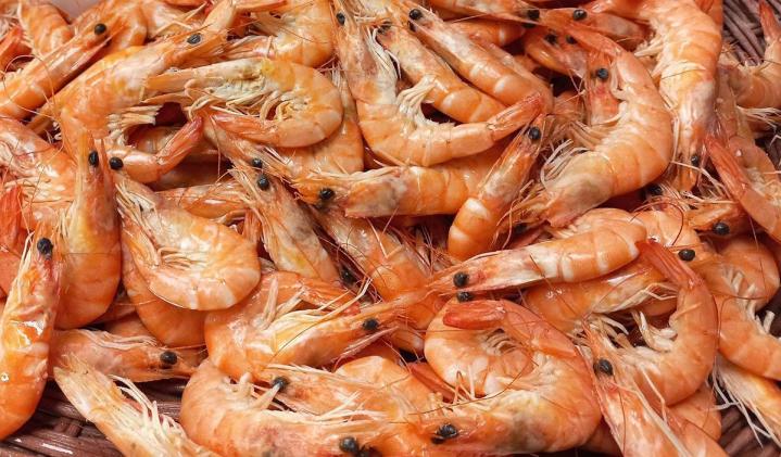 Traiteur fruits de mer Pavilly